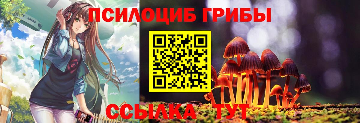 Псилоцибиновые грибы Psilocybine cubensis  Вход с VPN  Богородск 